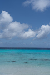 Fototapeta na wymiar Beach on the Island of Bonaire in the caribbean Sea