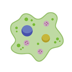 Amoeba cell. Small unicellular animal. Virus and bacteria.