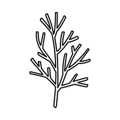 Vector doodle illustration of a tree branch