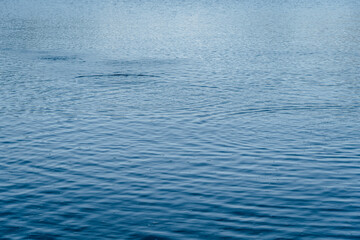 blue water surface