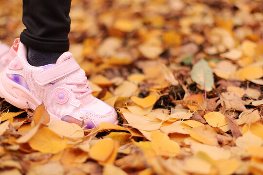 baby sneakers on autumn leaves