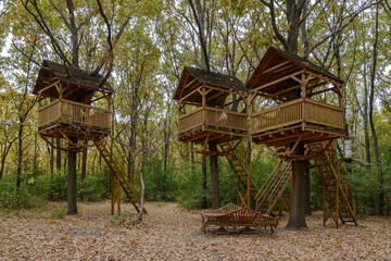 Recreation area with wooden gazebos on a tree in the autumn park. Wooden houses on trees for recreation and entertainment. Autumn landscape in the oak forest.