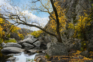 A granite canyon in the bed of the Mertvovod River in the village of Aktove, Ukraine. Colorful leaves of trees in the autumn landscape, colors of leaf-fall.