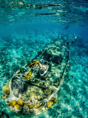 Fototapeta na wymiar snorkling on wreck with coral