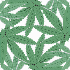 Naklejka na ściany i meble cannabis leaf vector illustration on white background