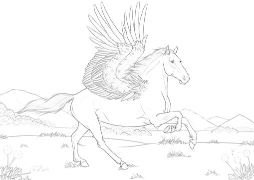 Pagaz w dolinie A4 coloring book