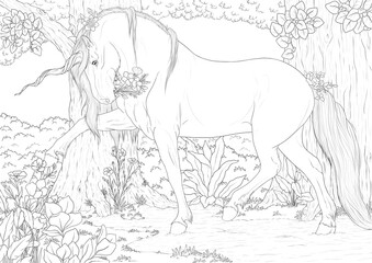 Fototapeta na wymiar Unicorn and flowers A4 coloring book