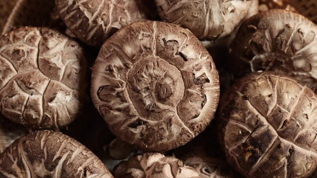 4K Close up of Shiitake mushrooms rotation