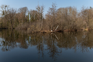 Marais de Fontenay