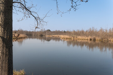 Marais de Fontenay