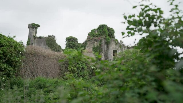 Slow motion of ruins of an old abandoned Irish house in Westmeath, Ireland, nature taking over