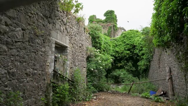 Slow motion of ruins of an old abandoned Irish house in Westmeath, Ireland