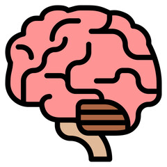 brain human body organ