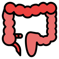 colon human body organ