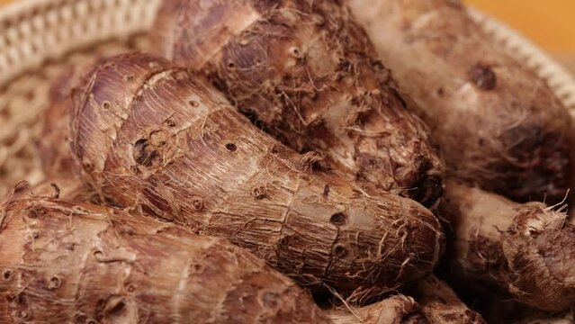 fresh organic taro root rotation	