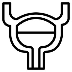 bladder human body organ