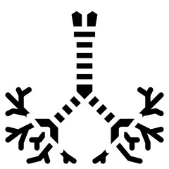 bronchus human body organ