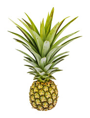 pineapple isolated and save as to PNG file