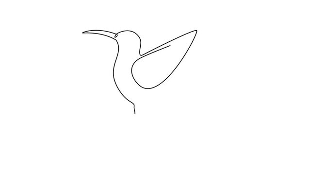 Single continuous line self drawing of adorable bird for animal and nature copyright. Little cute colibri mascot concept for public park. single draw video graphic illustration