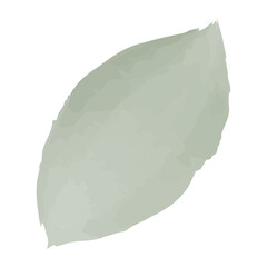 Green watercolor petal. Vector illustration