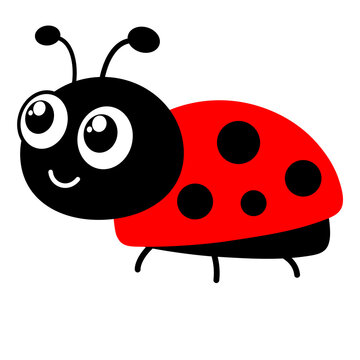 Ladybug Png Format With Transparent Background