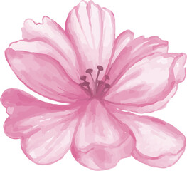 watercolor pink flower 
