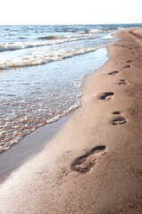 footprints in sand on beach by sea