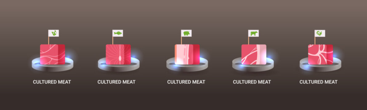 Cultured Raw Red Meat With Labels Made From Animal Cells Artificial Lab Grown Meat Production Concept