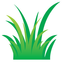 illustration of a plant