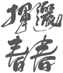 Chinese title font design: ”youth“, "揮灑，青春“, Headline font design, advertising word font design.