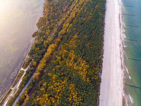 aerial photo of colourful trees on the hel peninsula at sunset; colourful autumn leaves by the sea; Baltic sea in autumn