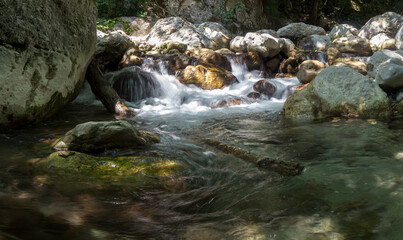 Tusciano river forest scenery in cilento