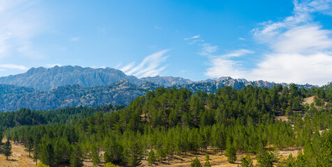 panorama of beautiful green forest, big mountains and blue sky in the background, Taurus Mountains, Turkey. High quality photo