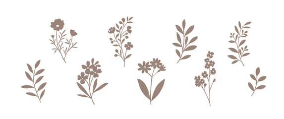 Set of botanical silhouettes, leaves, plants and flowers 