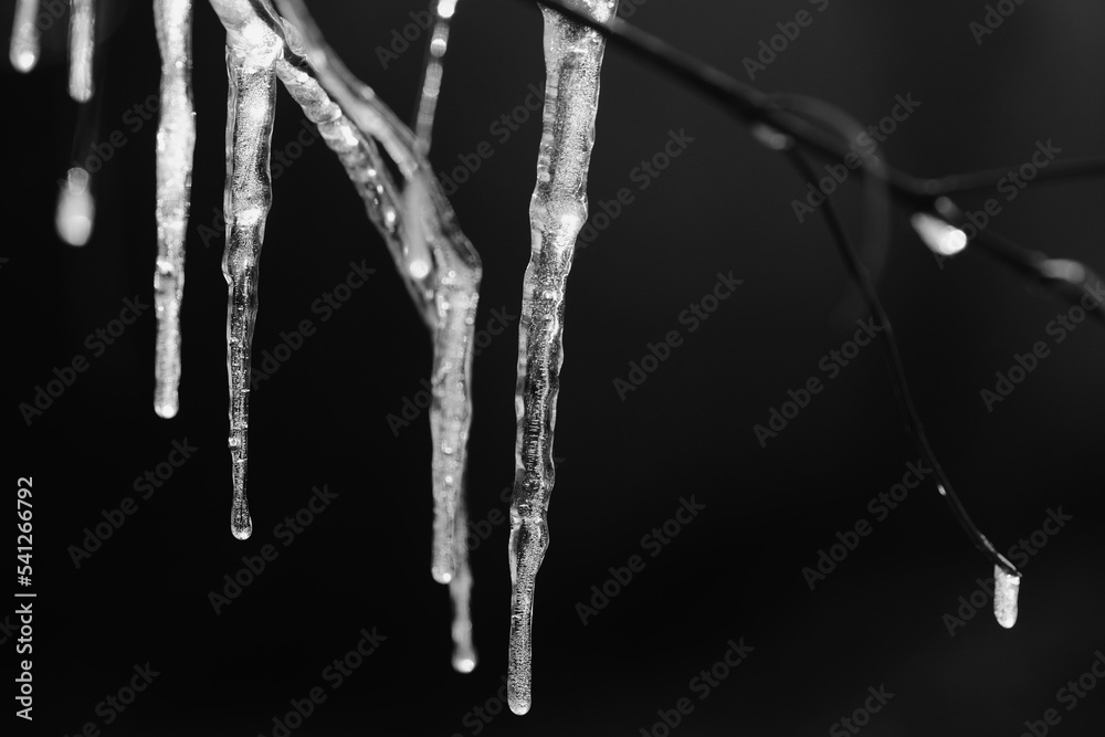 Wall mural ice in shallow depth of field closeup during cold winter temperature. - Wall murals