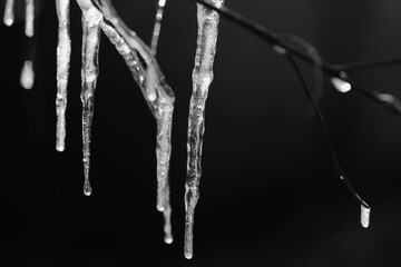 Fototapeta premium Ice in shallow depth of field closeup during cold winter temperature.