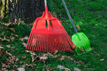 red leaf rake in the garden. territory cleaning concept. garden tools on green grass in the park