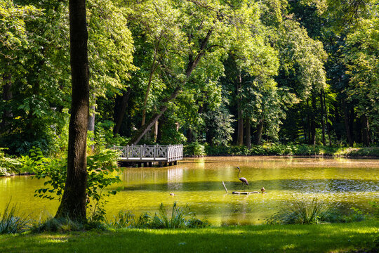 Historic park surrounding XVI century Rozalin Palace with vintage trees and ponds during summer season in Rozalin village in Mazovia region of Poland
