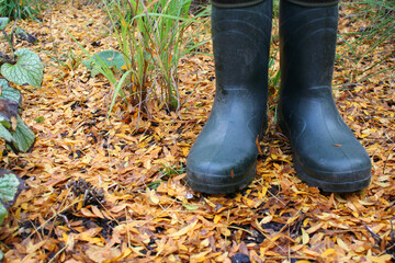 in Gummistiefeln bei der Gartenarbeit, Herbst und Regenwetter