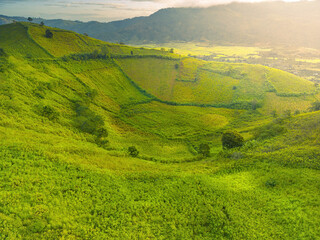 Obraz premium Aerial view of Chu Dang Ya volcano mountain with Da Quy flower or Tithonia diversifolia flower near Pleiku city, Gia Lai province, Vietnam