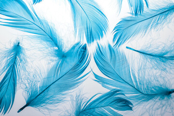 fluffy light blue feathers lie on a light white surface. for labels, announcements, flyers,...