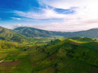 Aerial view of Chu Dang Ya volcano mountain with Da Quy flower or Tithonia diversifolia flower near Pleiku city, Gia Lai province, Vietnam