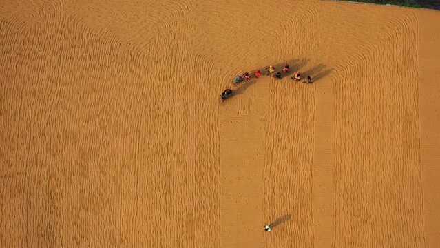 Aerial view of farmers working in a field drying rice on a rice field in Dhamrai, Dhaka, Bangladesh.