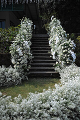 Wedding Decoration White and purple Flower, Fairytales with Nightsky stars outdoors. Elegance and natural grass.