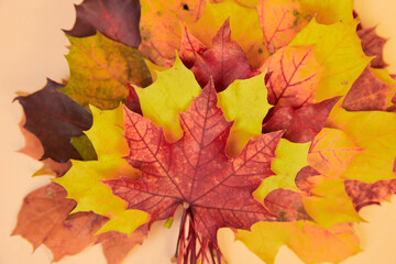 Naklejka na ściany i meble Creative composition on the autumn theme - a bouquet of natural maple leaves of yellow, orange, red, burgundy flowers