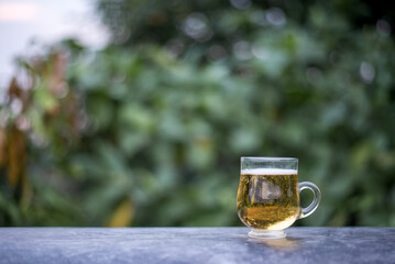 Cold beer served in pitchers. on the natural background