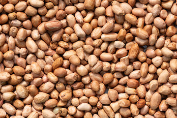 Dried Peanut Seeds