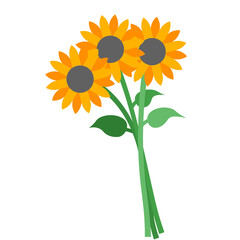 Sunflower Theme Png Format With Transparent Background