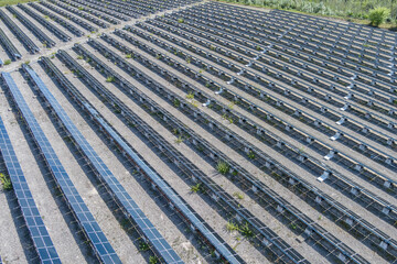 Reihen von Solarmodulen in einer Photovoltaikanlage