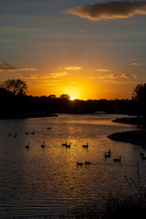 Sunset on a pond.